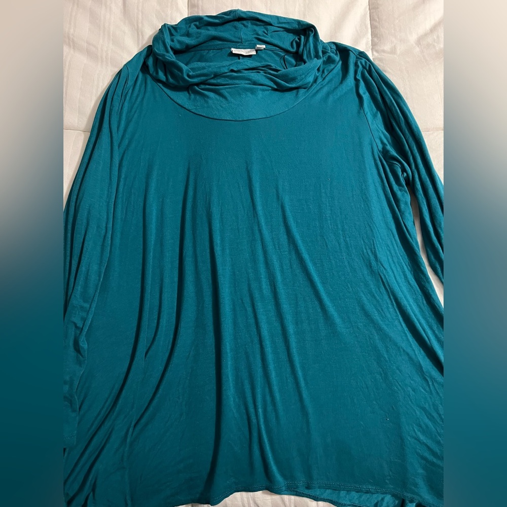 2/$10 Kim Rogers Woman Teal Cowl Neck Tunic Top